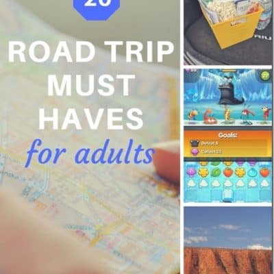 Road Trip Survival Kit for Adults